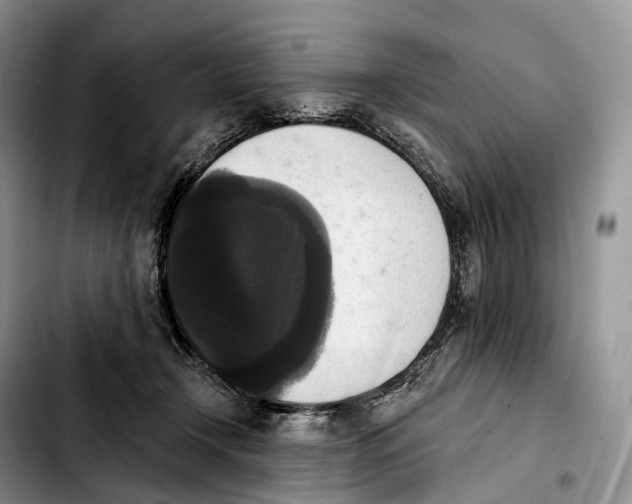 X0000103950366200810101443