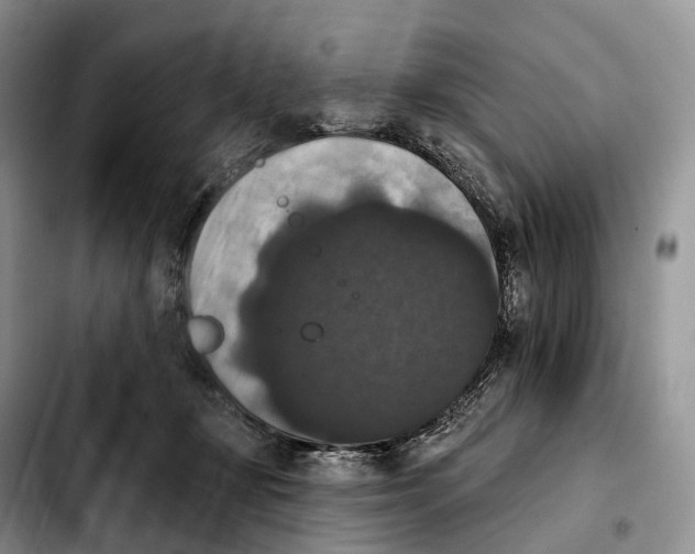 X0000103950367200810101443