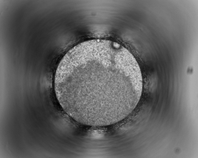 X0000103950368200810101443