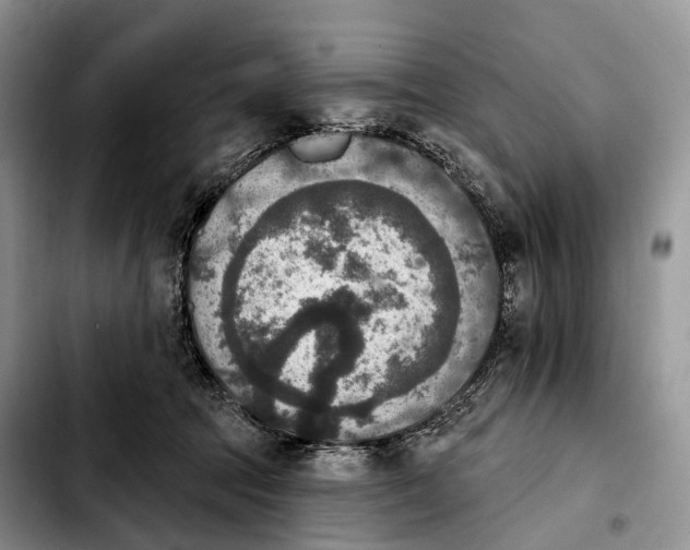 X0000103950369200810101443