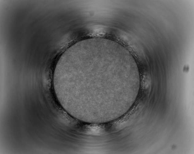 X0000103950370200810101443