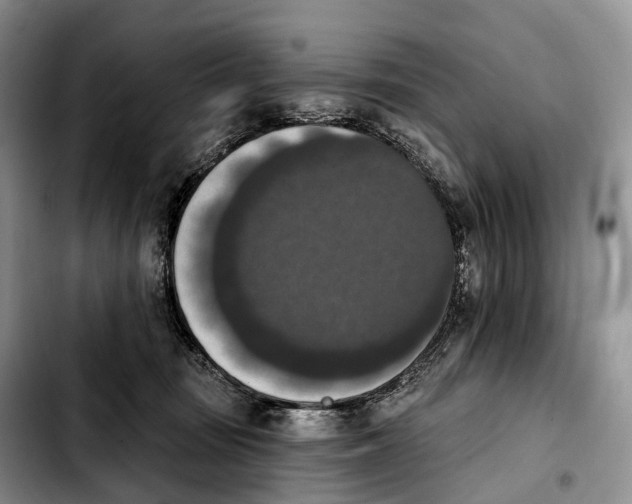 X0000103950371200810101443