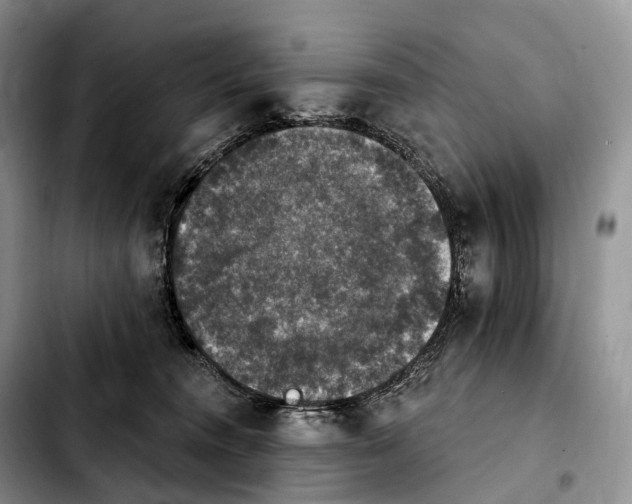 X0000103950372200810101443