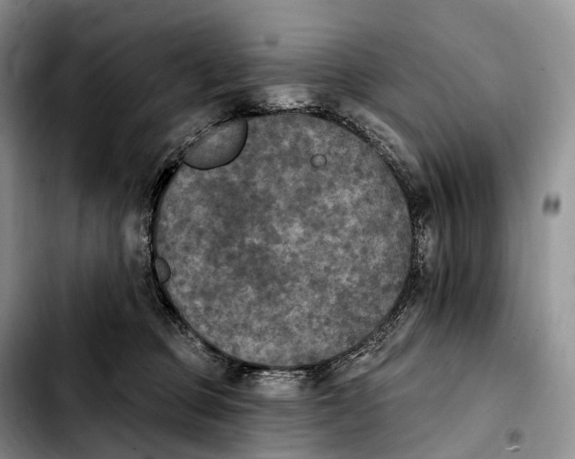 X0000103950373200810101443