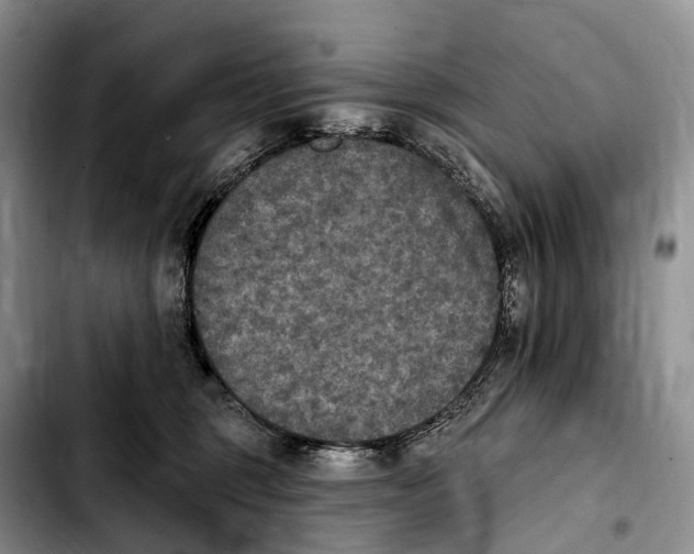 X0000103950375200810101443