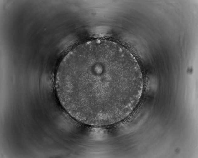 X0000103950376200810101443