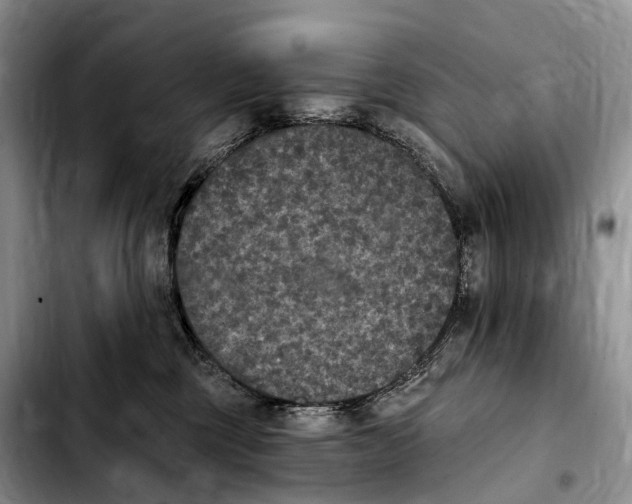 X0000103950377200810101443