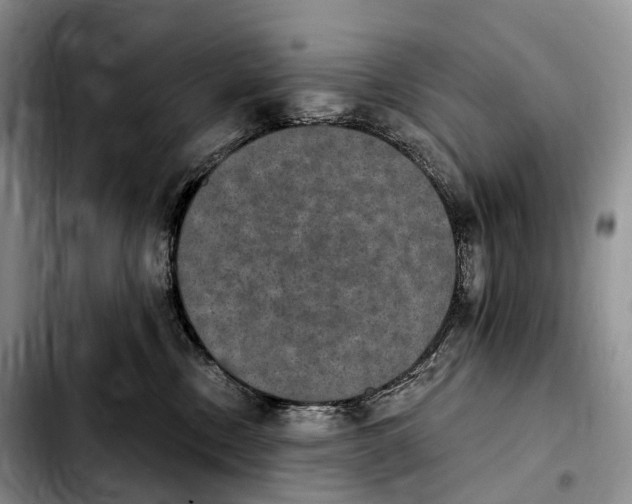 X0000103950378200810101443