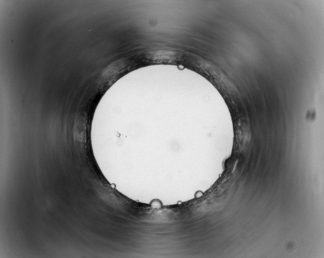 X0000103950379200810101443