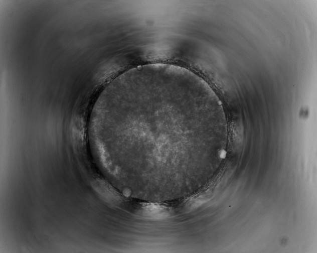 X0000103950380200810101444