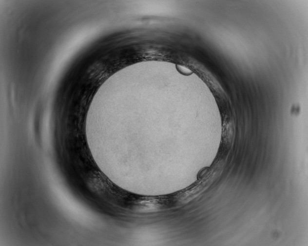 X0000103950381200810101444