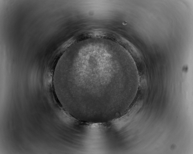 X0000103950382200810101444