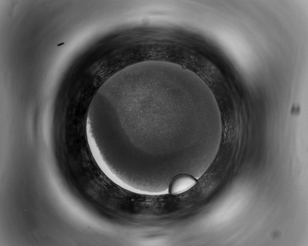 X0000103950383200810101444