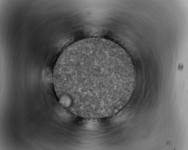 X0000103950384200810101444