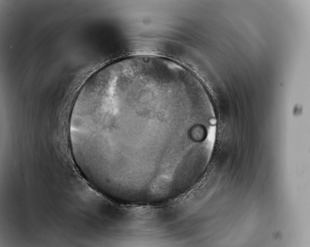 X0000103950385200810101443