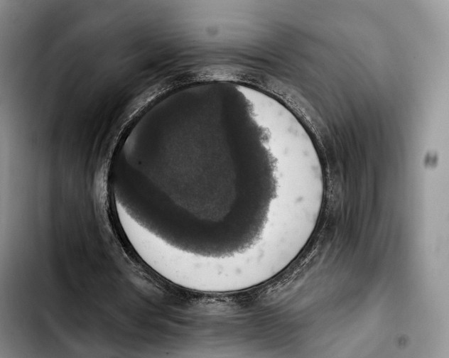 X0000103950386200810101443