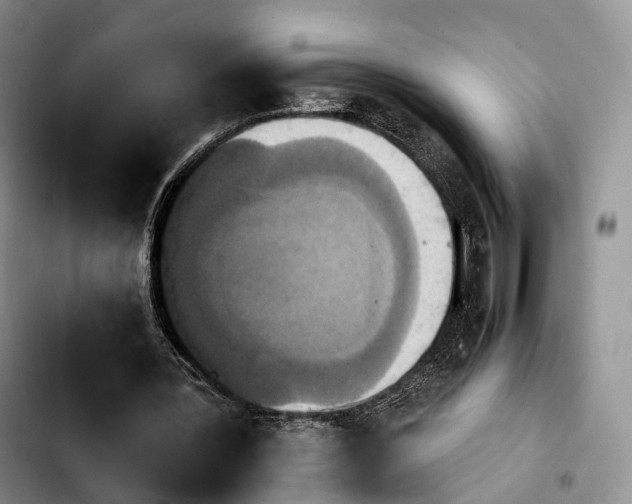 X0000103950387200810101443