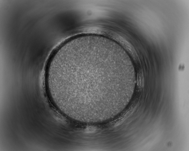 X0000103950388200810101443