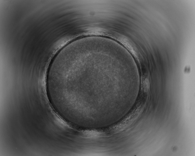 X0000103950389200810101443