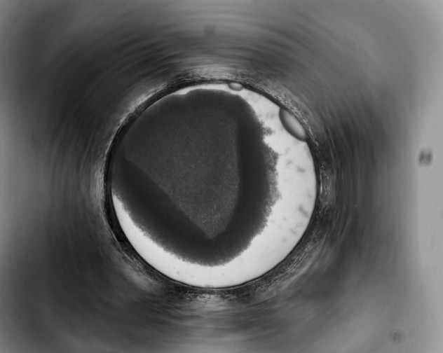 X0000103950390200810101443