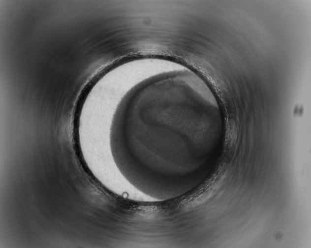 X0000103950391200810101443