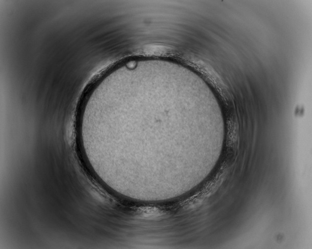 X0000103950392200810101443