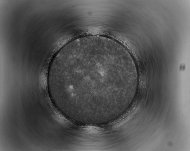 X0000103950393200810101443