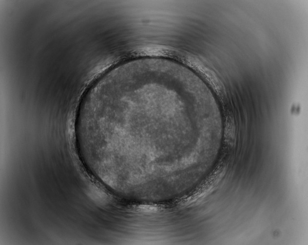 X0000103950394200810101443