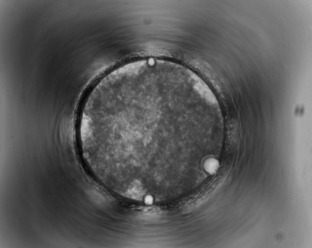 X0000103950395200810101443