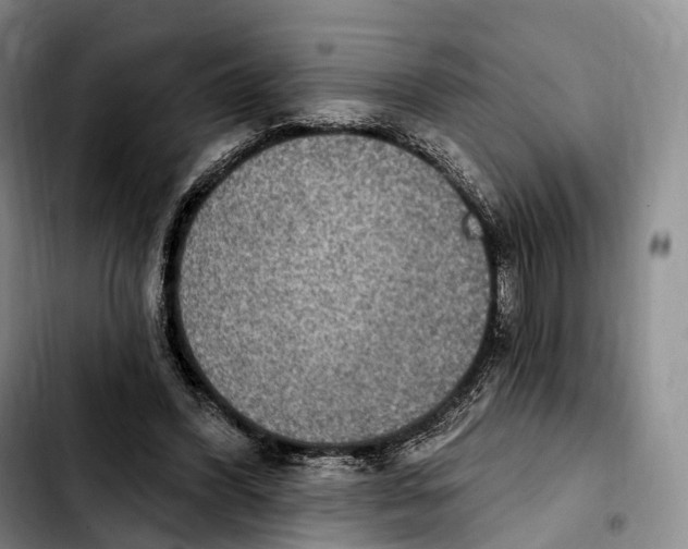 X0000103950396200810101443