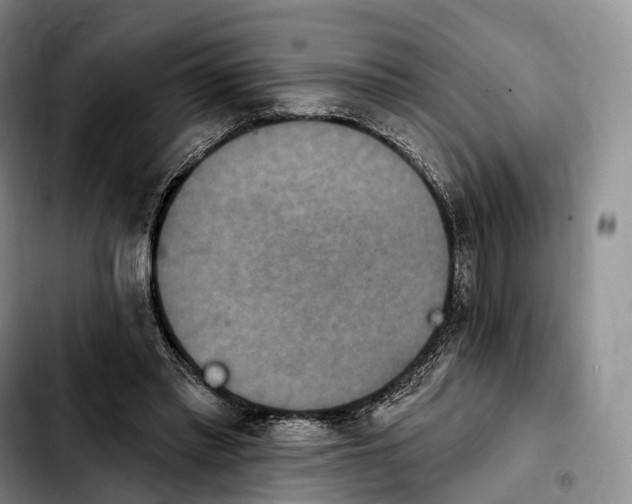 X0000103950397200810101443