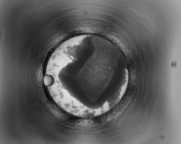 X0000103950398200810101443