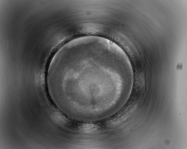 X0000103950399200810101443