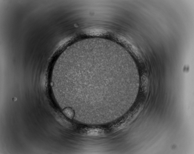 X0000103950400200810101443