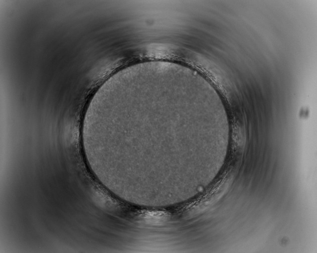 X0000103950401200810101443