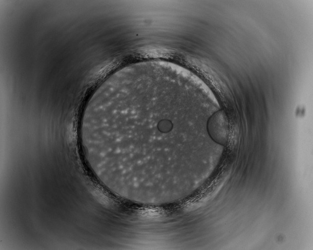 X0000103950402200810101443