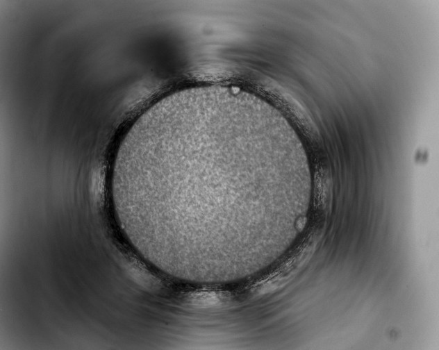 X0000103950404200810101443