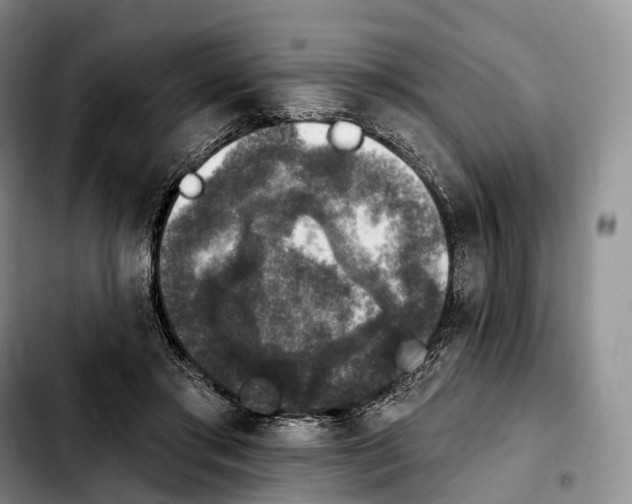 X0000103950405200810101443