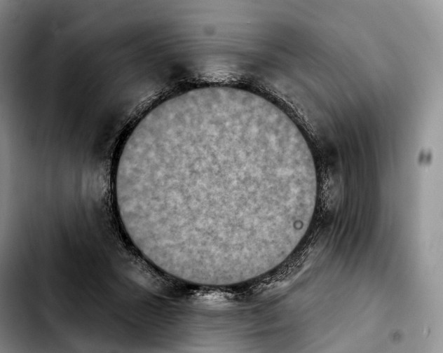 X0000103950407200810101443