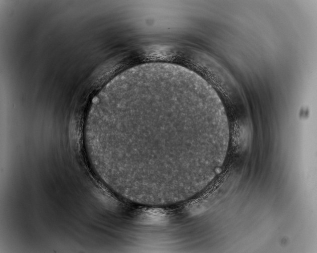 X0000103950409200810101443