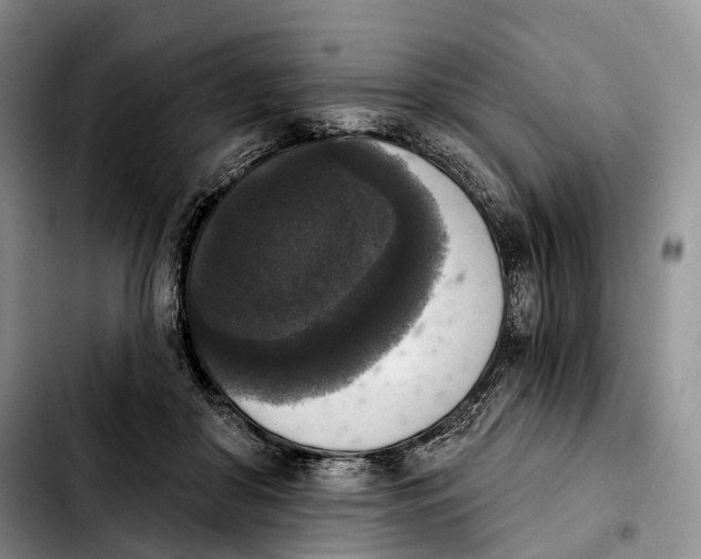 X0000103950410200810101443