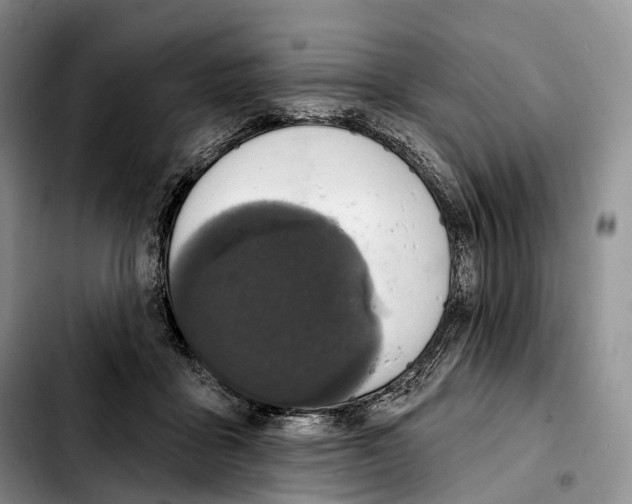 X0000103950411200810101443