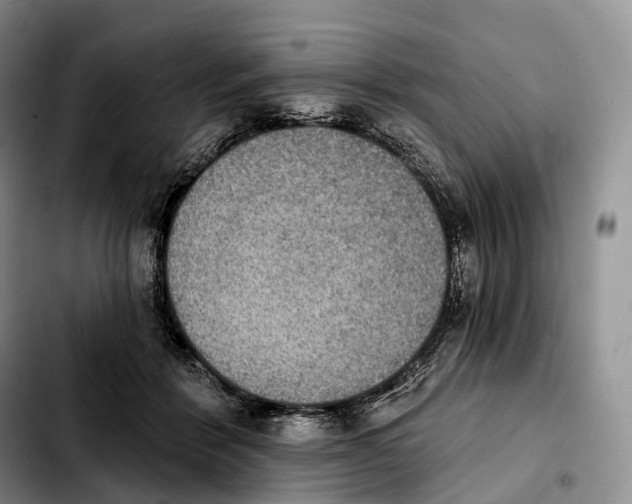 X0000103950412200810101443