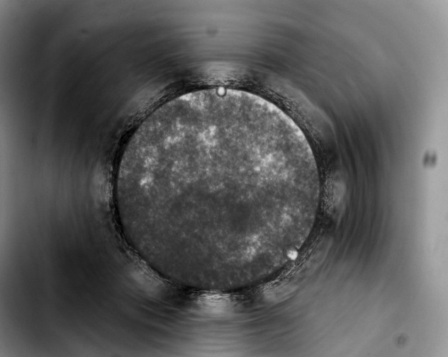 X0000103950413200810101442