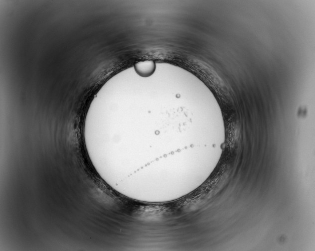 X0000103950414200810101442