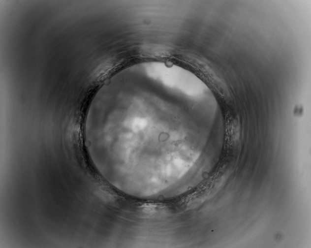 X0000103950415200810101442