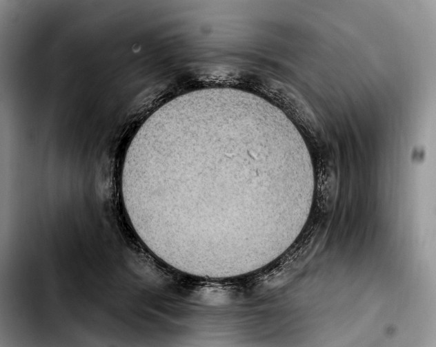 X0000103950416200810101442