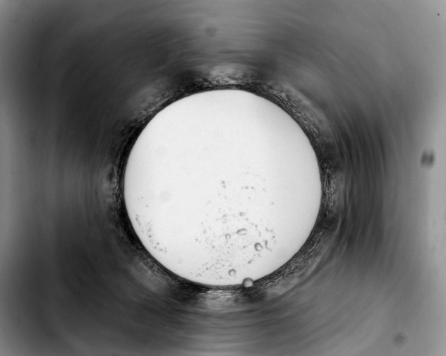 X0000103950418200810101442