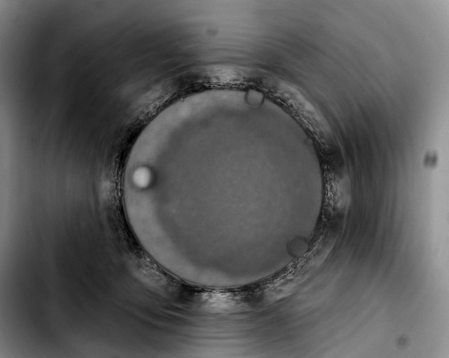 X0000103950419200810101442