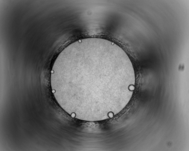 X0000103950421200810101442